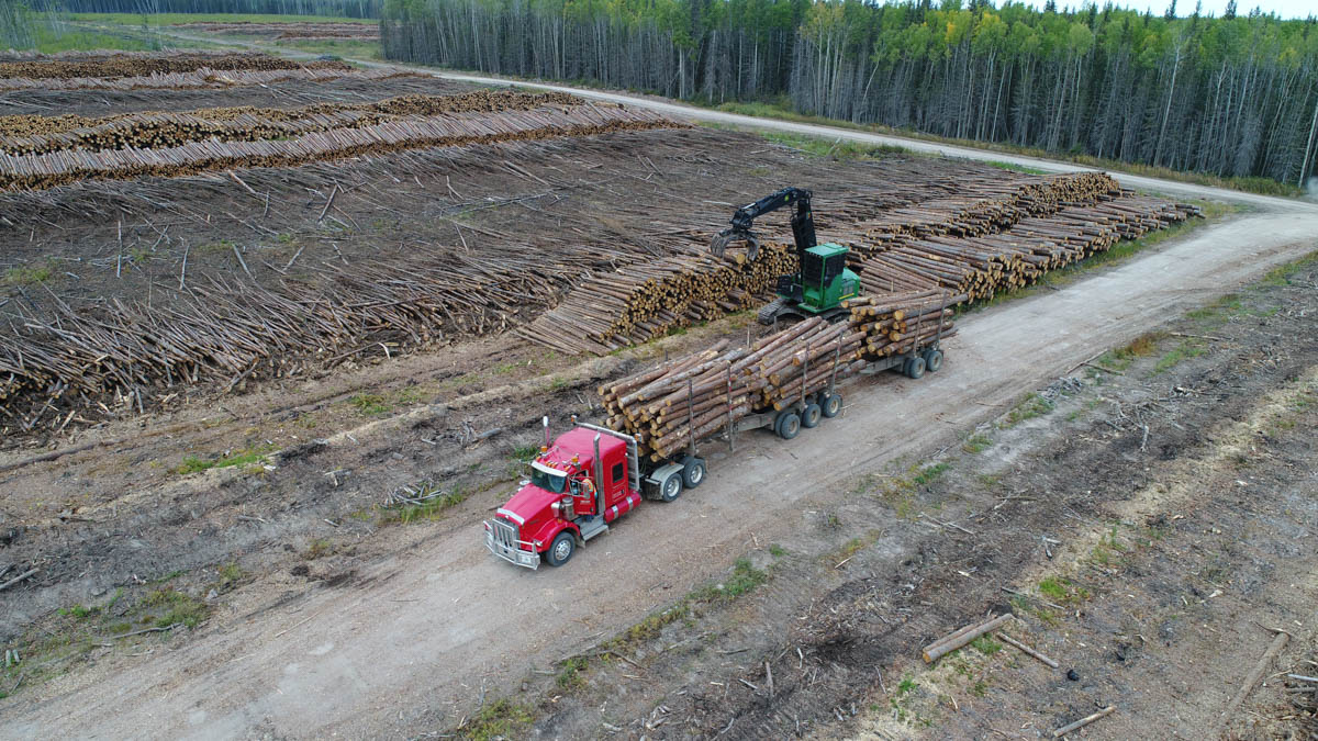 Exact Harvesting - La Crete, Alberta - Loading Log Truck